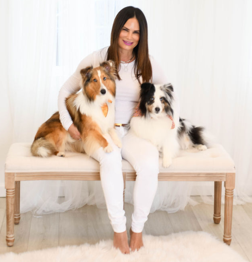 How to Train Your Dog, A Guide for Furry Friends and Their Humans