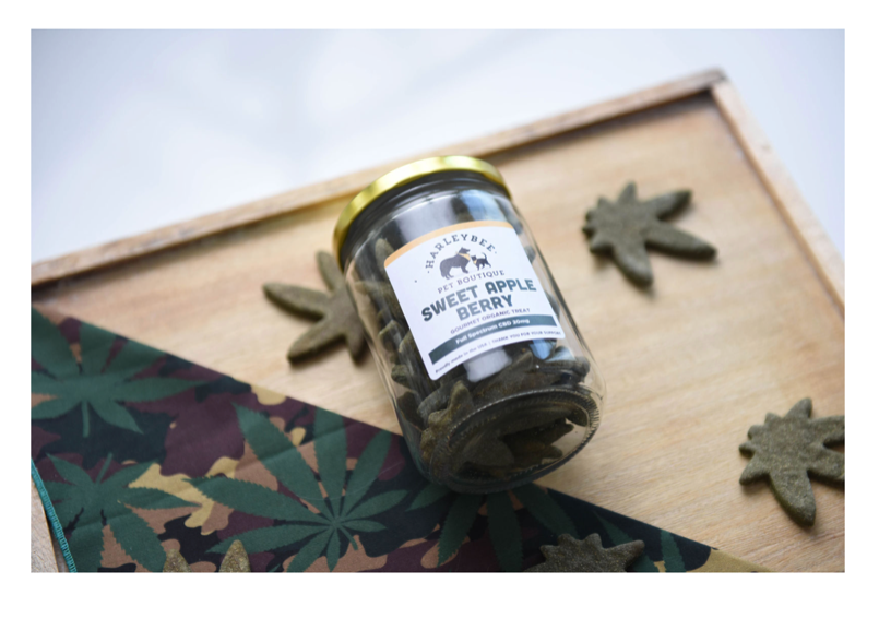 CBD; The Effects CBD has on Dogs?