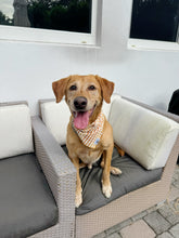 Load image into Gallery viewer, Gingham Caramel Bandana
