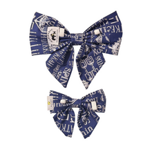 Load image into Gallery viewer, Hannukah Ladybow
