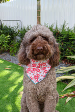 Load image into Gallery viewer, Floral Rassberry Lopis Bandana
