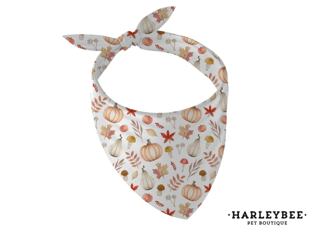 Fall Autumn Snuggles