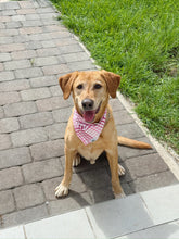 Load image into Gallery viewer, Gingham Bubble Gum Bandana
