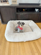Load image into Gallery viewer, Puppy Cheer Bandana
