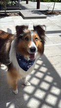 Load image into Gallery viewer, 4th of July Explosion Bandana

