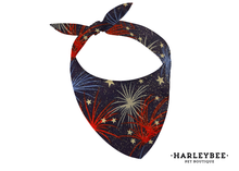 Load image into Gallery viewer, 4th of July Explosion Bandana
