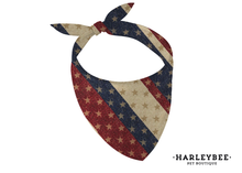 Load image into Gallery viewer, 4th Of July Bandana
