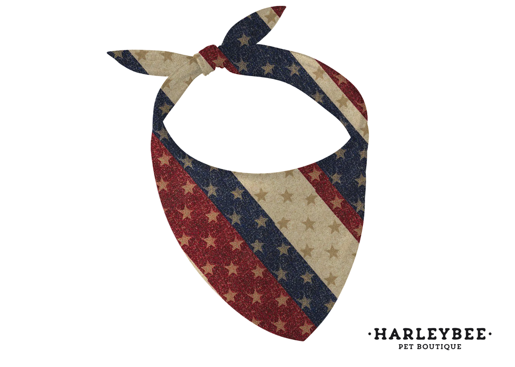 4th Of July Bandana
