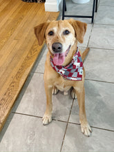 Load image into Gallery viewer, Christmas Reindeer Bandana
