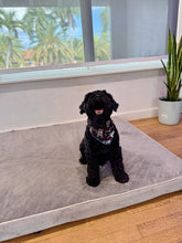 Load image into Gallery viewer, Halloween Doggy Skeleton Bandana
