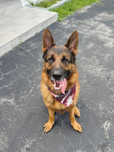 Load image into Gallery viewer, Swirl Leopard Bandana
