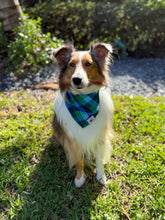 Load image into Gallery viewer, Flannel Blue &amp; Green Bandana
