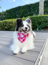 Load image into Gallery viewer, Flannel Love Bandana
