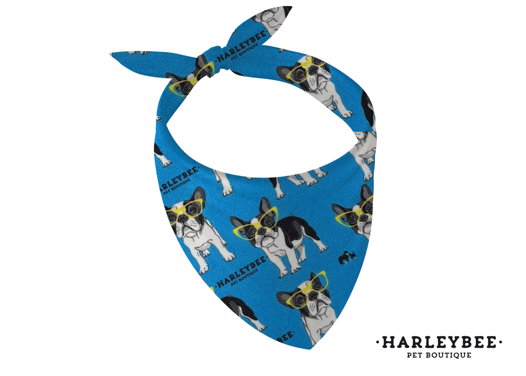 Frenchie Blue Bandana