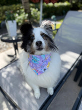 Load image into Gallery viewer, Butterfly Glitter Away Bandana
