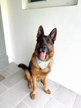 Load image into Gallery viewer, Flamingo Splash Bandana

