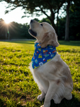 Load image into Gallery viewer, Cartoon Got A Catch Them All Bandana
