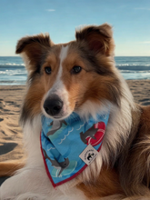 Load image into Gallery viewer, Cartoon Friendly Shark Bandana
