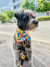 Load image into Gallery viewer, Cartoon Simpson Bandana

