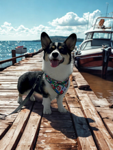 Load image into Gallery viewer, Cartoon Mario Bro&#39;s Bandana

