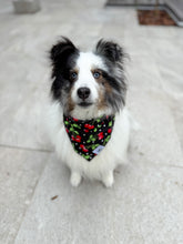 Load image into Gallery viewer, Cherry Cherry Bandana
