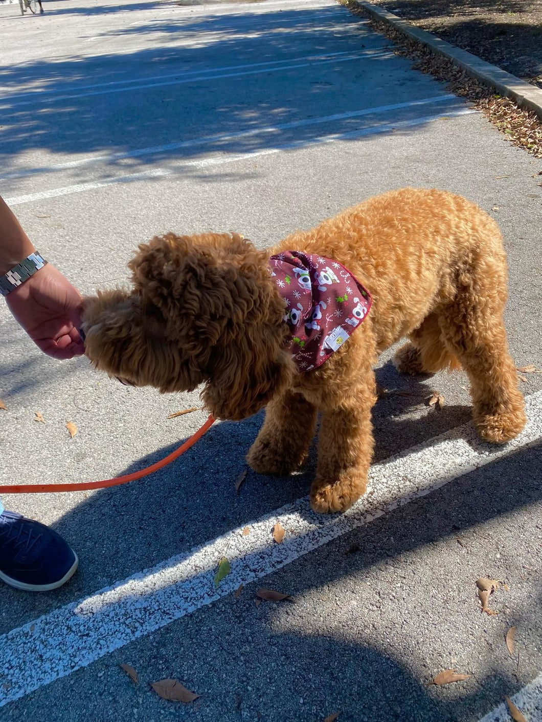 Christmas Doggy Red Bandana
