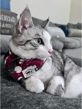 Load image into Gallery viewer, Christmas Frosty Bandana
