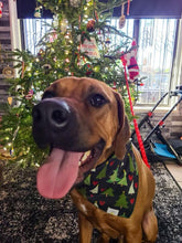 Load image into Gallery viewer, Christmas Tree Bandana
