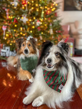 Load image into Gallery viewer, Christmas Tradition Bandana
