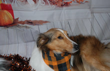 Load image into Gallery viewer, Flannel Pumpkin Spice Bandana
