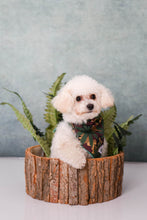 Load image into Gallery viewer, Camouflage Mary Jane Bandana
