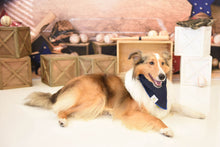 Load image into Gallery viewer, Jean It Bandana
