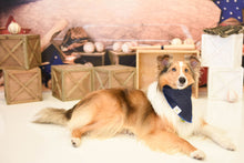 Load image into Gallery viewer, Jean It Bandana
