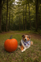 Load image into Gallery viewer, Halloween Witching Hour
