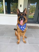 Load image into Gallery viewer, Birthday Balloon Bandana

