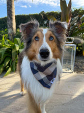 Load image into Gallery viewer, Flannel Burberry Blue Bandana

