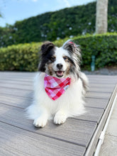 Load image into Gallery viewer, Flannel Love Bandana
