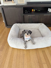 Load image into Gallery viewer, Flannel Pastel Bandana
