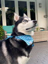 Load image into Gallery viewer, Gingham Baby Blue Bandana
