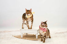 Load image into Gallery viewer, Gingham Canary  Bandana
