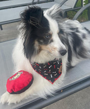 Load image into Gallery viewer, Give A Dog A Bone Bandana
