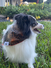 Load image into Gallery viewer, Halloween Glittery Spider Web Bandana
