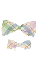 Load image into Gallery viewer, Flannel Pastel Bowtie

