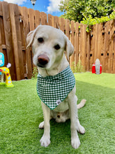 Load image into Gallery viewer, Gingham Emerald Green Bandana
