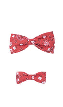 Load image into Gallery viewer, Paisley Red Bowtie
