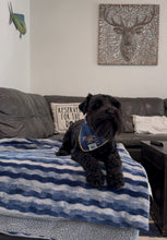 Load image into Gallery viewer, Sports FIU bandana
