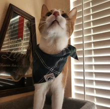Load image into Gallery viewer, Flannel School Girl Bandana

