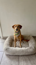 Load image into Gallery viewer, Christmas Elf Bandana
