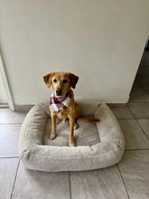 Load image into Gallery viewer, Flannel Chess Fringe Bandana
