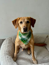 Load image into Gallery viewer, Flannel Chartreuse
